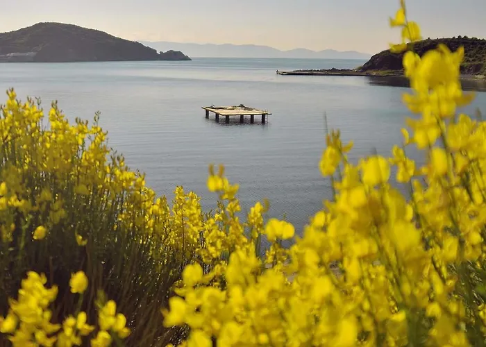 Arslan Apart Aparthotel *